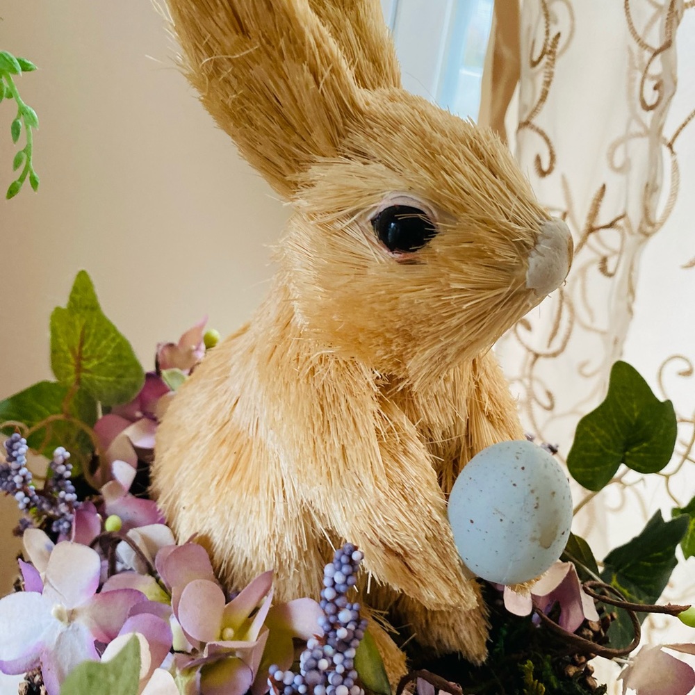 Bunny - Picture 3 of 7
